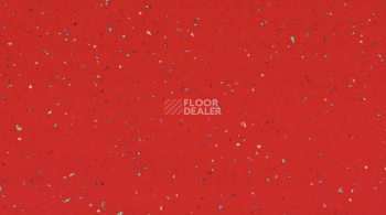 Линолеум Taralay Premium Compact Indiana 4141 ZANZIBAR фото 1 | FLOORDEALER